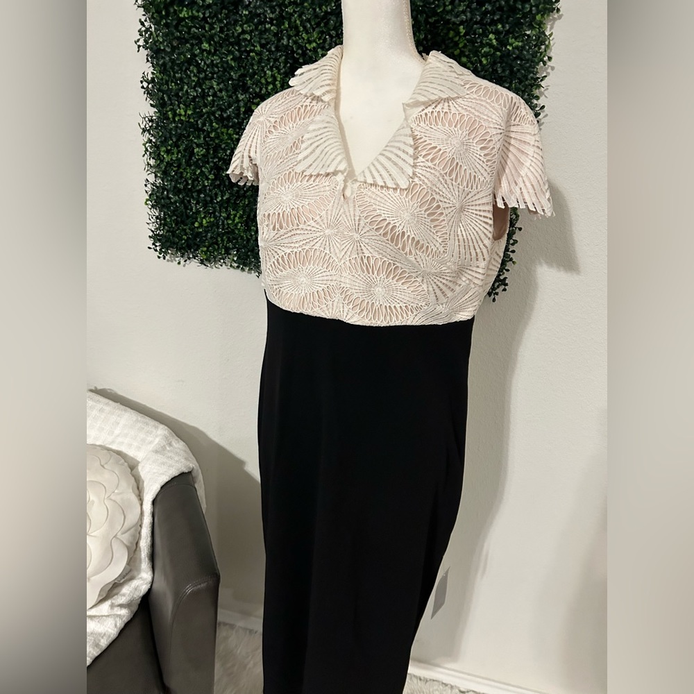 Lace & Crepe Midi Sheath Dress
Tadashi Shoji